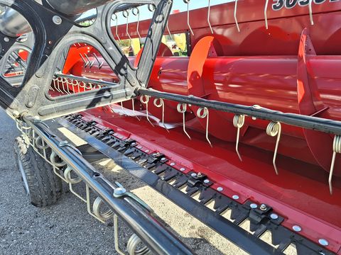 Case IH  3050 STD 6,10 Schneidwerk