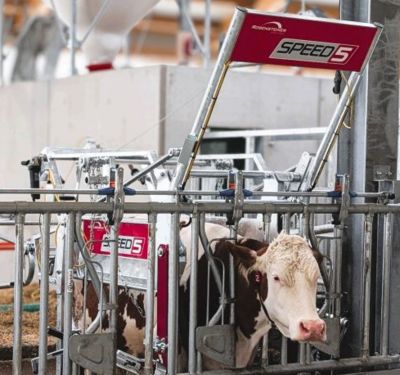 Rosensteiner Speed 5 Klauenpflegestand