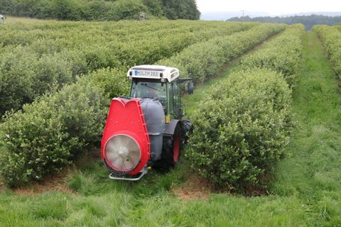 Dragone K2 500 Sprühgerät /Gebläsespritze für Obstbau