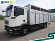MAN TGM 15.290 Viehtransporter, Scheuwimmer Aufbau, 
