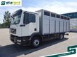 MAN TGM 15.290 Viehtransporter, Scheuwimmer Aufbau, 