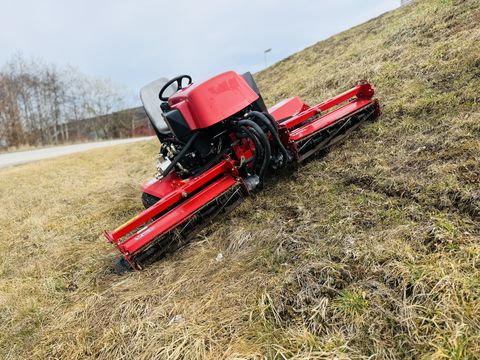 Sonstige Toro Reelmaster 2000D