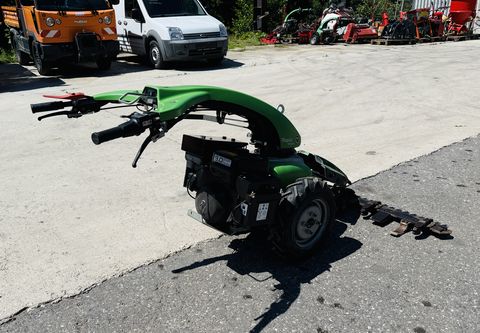 Rapid Mondo 1550