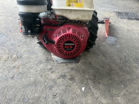 Reform 617 D