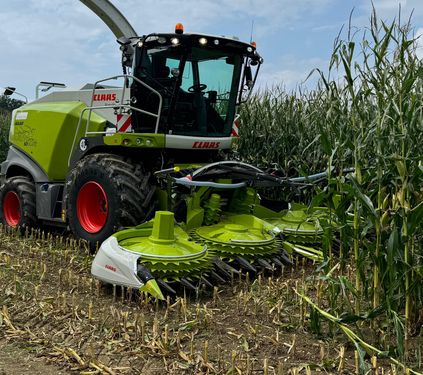 Maisgebiss Claas Orbis 600 8 reihig