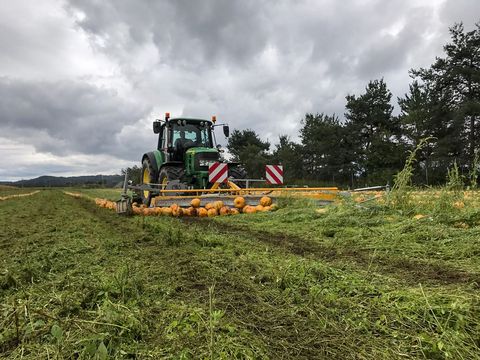 Agro-Stahl Kürbisschieber ECO PRO