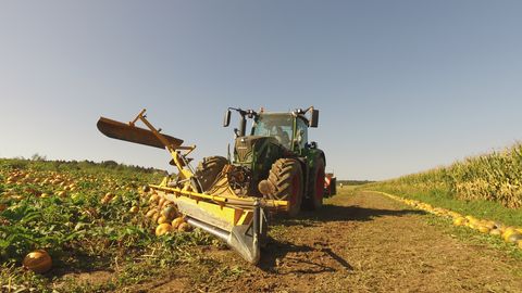 Agro-Stahl Kürbisschieber PREMIUM