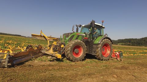 Agro-Stahl Kürbisschieber PREMIUM