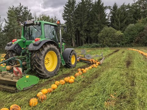 Agro-Stahl Kürbisschieber ECO