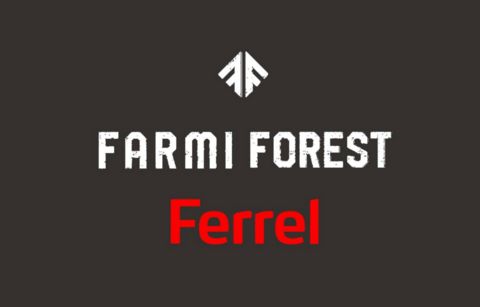 Farmi FT 13-CR89-4WD-NEU Rückewagen-Forst