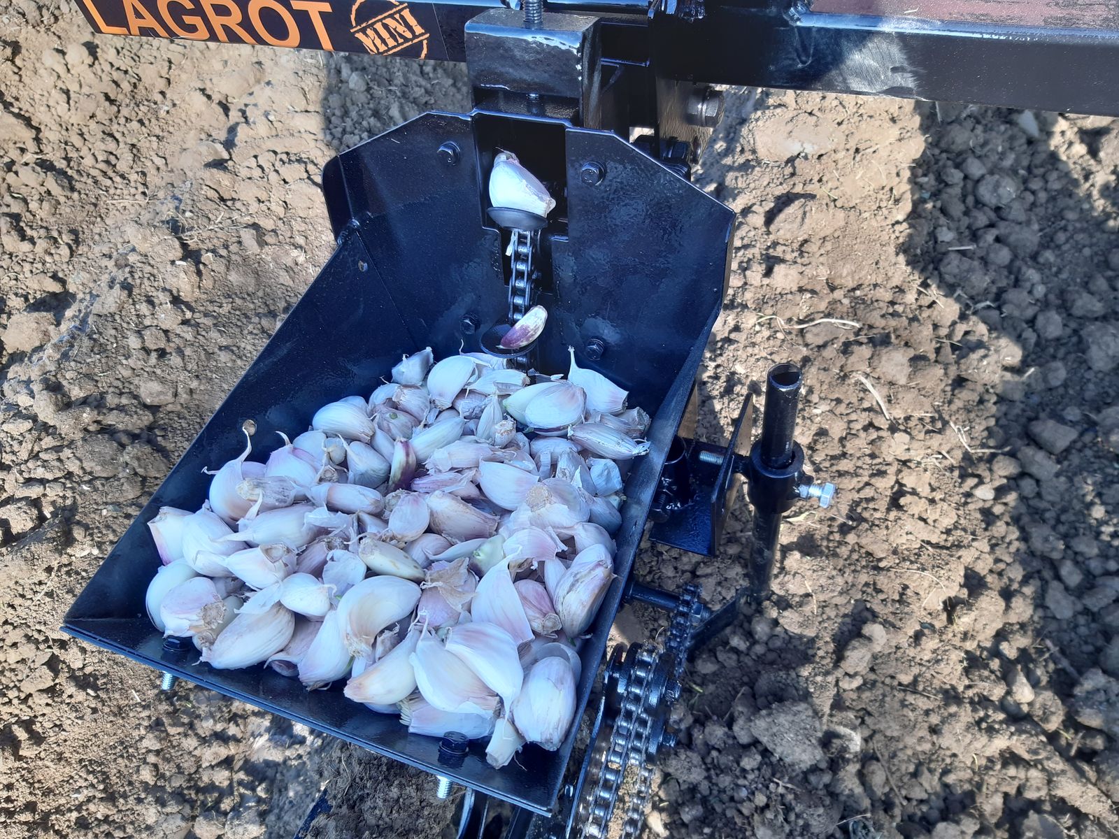 Knoblauch Legemaschine 2