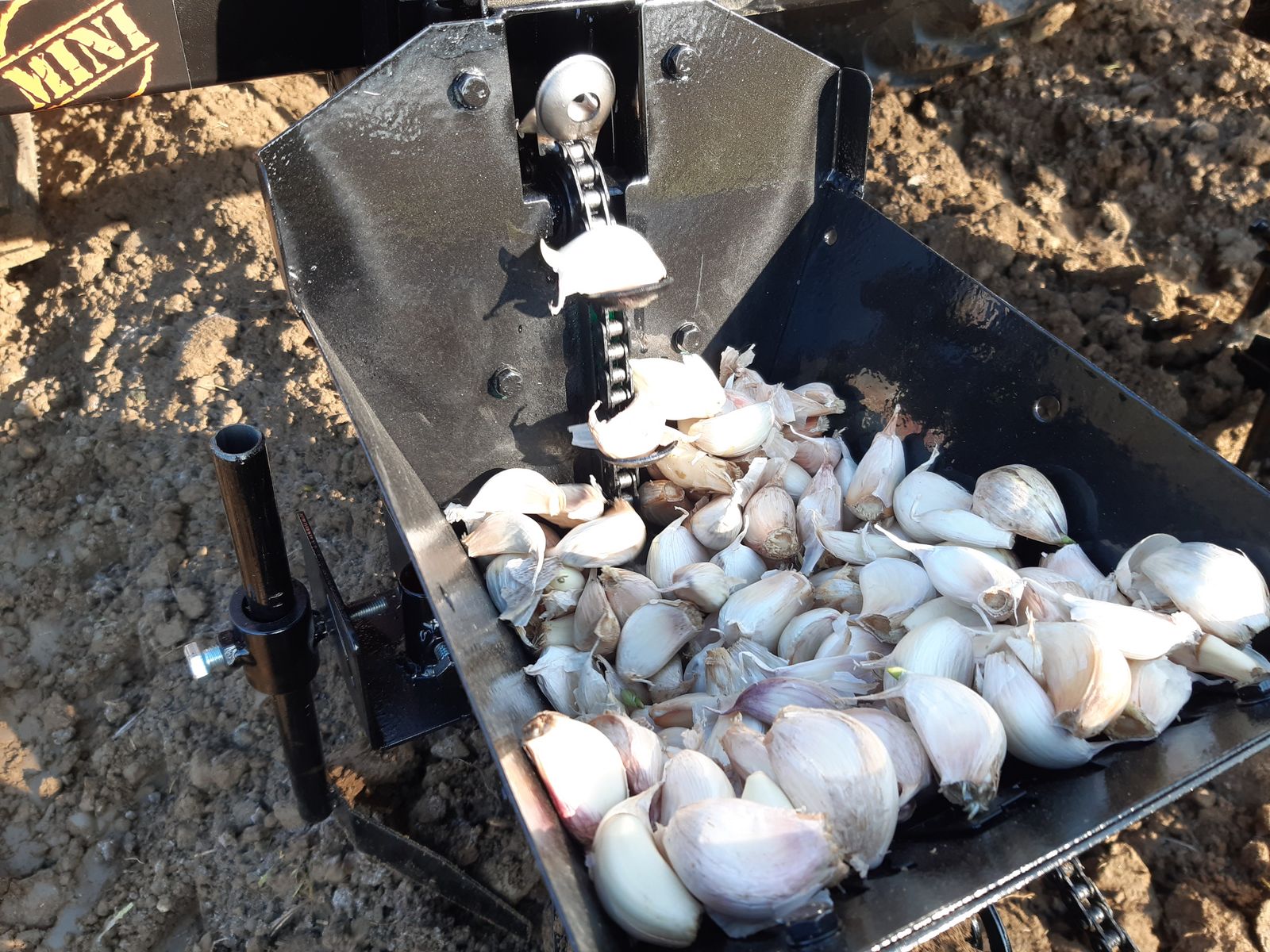 Knoblauch Legemaschine 3