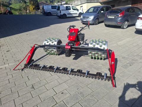 Köppl  sehr guter Zustand ab Service