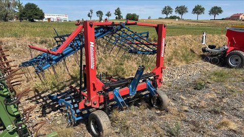 Hatzenbichler Striegel 5m