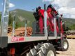 Sonstige ESTE Forstaufbau für Transporter 