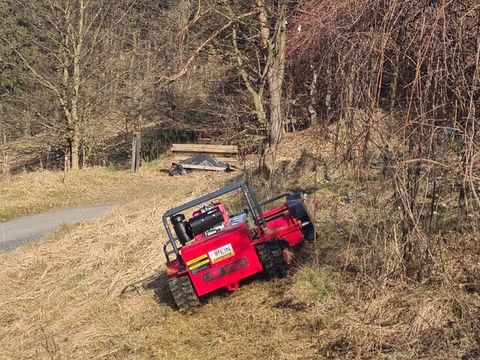 Sonstige Alpenmäh PMK 1200 , Ferngesteuerter Y Schlegelmu