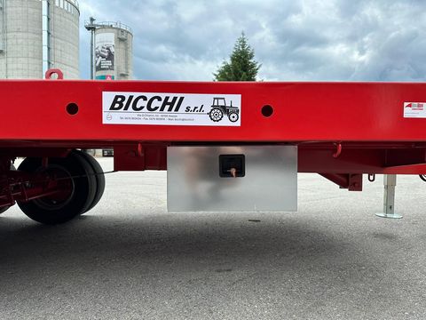 Bicchi 100TT