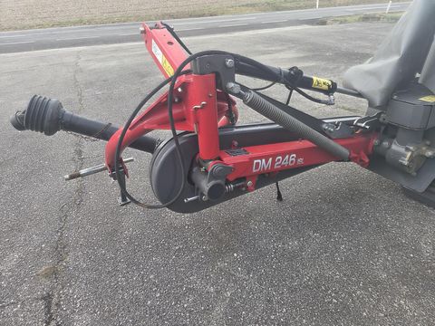 Massey Ferguson DM 246 ISL