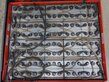 8089-0bafa649cbca2bf23380d23231bf646e-5555870