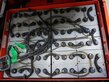 8089-4eba2749e11d568200de5e3c282590b5-5863373