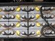 8089-5e8cc3390a10f764234de55cb6ab944c-5888190
