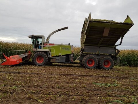 Claas Jaguar 900 Field Shuttle C 2