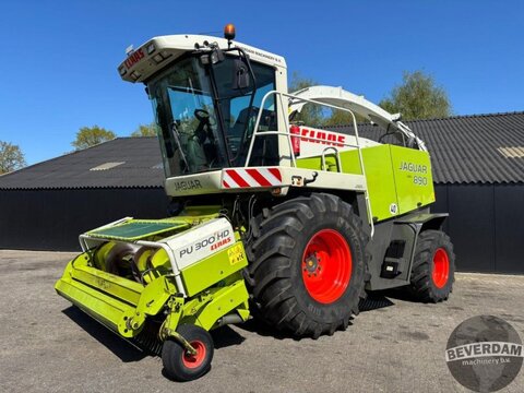 Sonstige Claas Jaguar 890 Speedstar