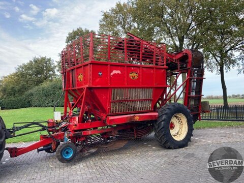 Gilles / WKM / Steenbergen Complete bietenrooi s 2