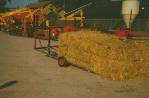 Balen-opsleep transporter 2