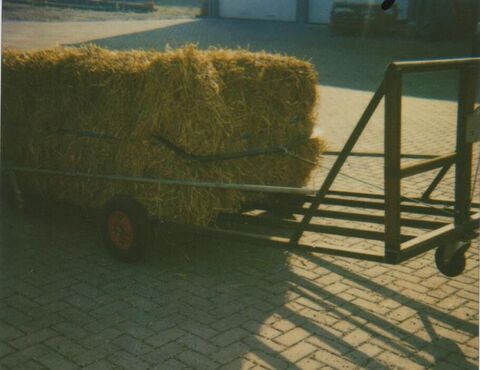 Balen-opsleep transporter 3