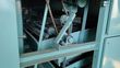 8186-f54a05eec716ae8e9c530a50f5c43623-5741981