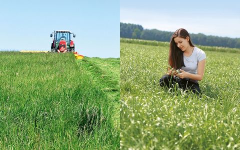 Sonstige 10 Pkg. Dauerwiesenmischung GRÜNLANDPROFI EB