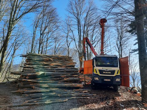MM Forsttechnik Syncrofalke 3t Kombi