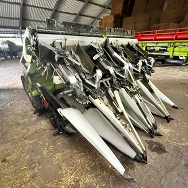 CLAAS CORIO 875 FC CONSPEED, Maispflücker, 8-reiher, H