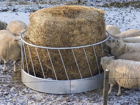 MD Landmaschinen Kellfri Rundraufe für Schafe 1,7 m