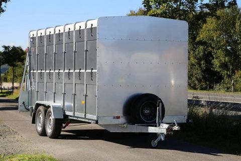 Niewiadow Kleinviehtransporter VT2743