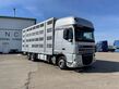 DAF FAR XF 105.510 na prepravu zvierat 6x2, EURO 5, 