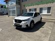 Peugeot 2008 1,5 BlueHDi 110 Active VIN 039