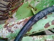 8393-84a3cfc51541019b00297a3b96a61700-5875732