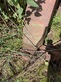 8393-f4920ed644615adef67798552c84e8e5-5989887