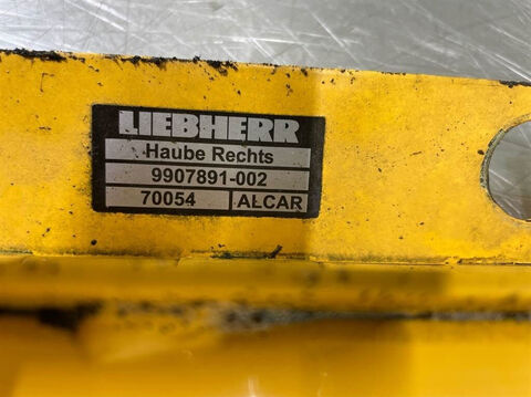 A924B-9907891-Hood right/Haube rechts/Kap 3