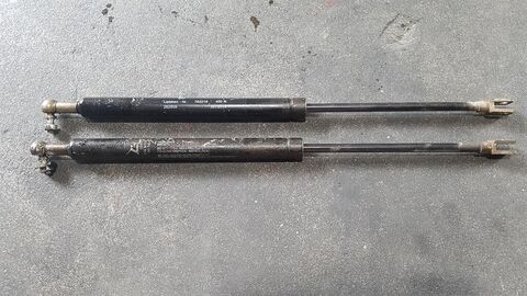 Sonstige L 544 - /Gasfeder/Gasveer