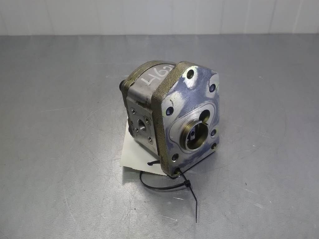 1518222284 - Gearpump/Zahnradpumpe/Tandwielpomp 1