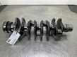 Deutz BF4M1013E-04201319-Crankshaft/Kurbelwelle/Krukas