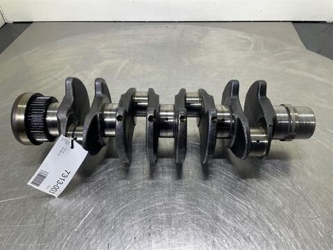 Sonstige BF4M1013E-04201319- /Kurbelwelle/Krukas