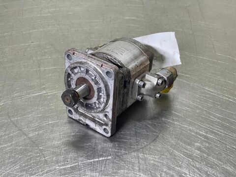 Sonstige L524-11068129-Fan motor/Zahnradpumpe/Tandwielpom