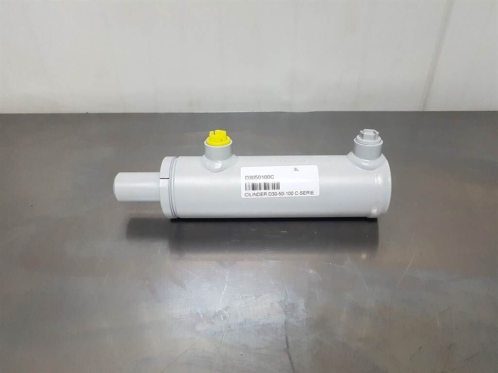 Cilinder D3050100C - Cylinder/Zylinder 1