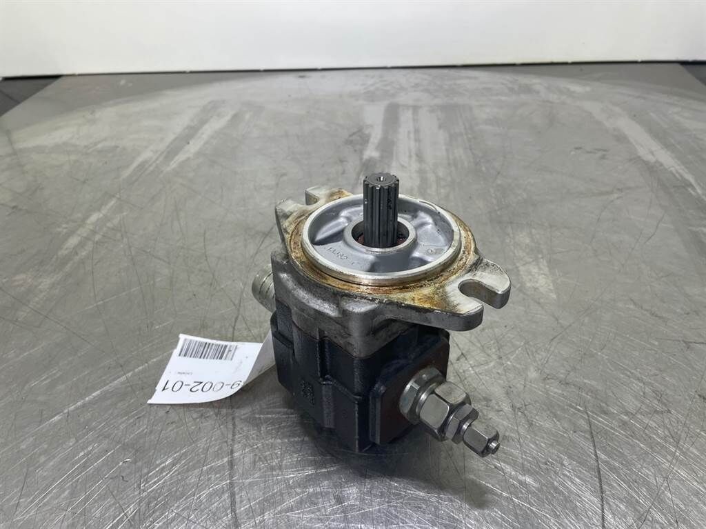 Gearpump - Zahnradpumpe/Tandwielpomp 2