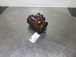 Sonstige - Gearpump/Zahnradpumpe/Tandwielpomp