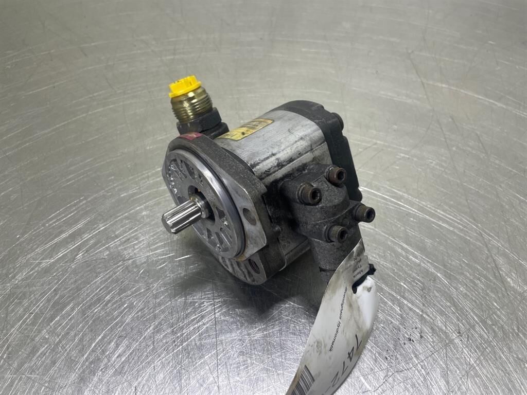 P1AAN2015CL30A01N - Gearpump/Zahnradpumpe 3